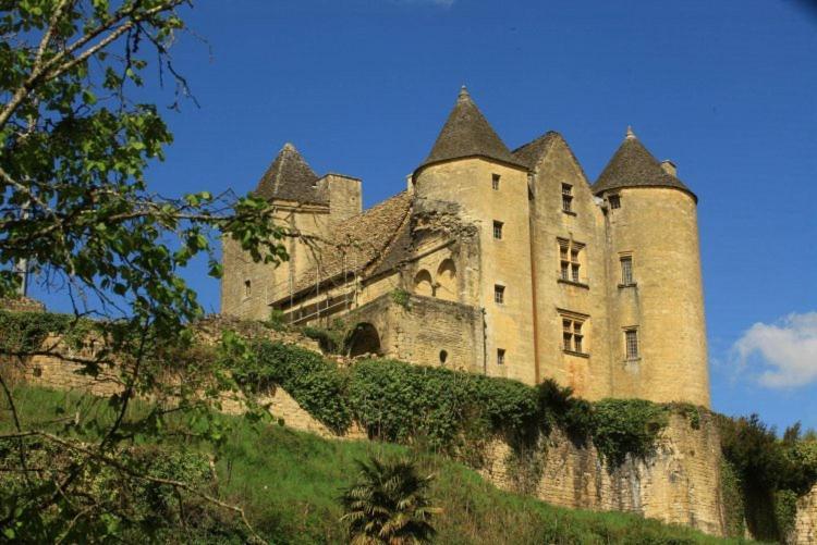 Petite Maison En Pierre Au Coeur Du Perigord Noir Proche De Sarlat Et Rocamadour Salignac Eyvigues 외부 사진