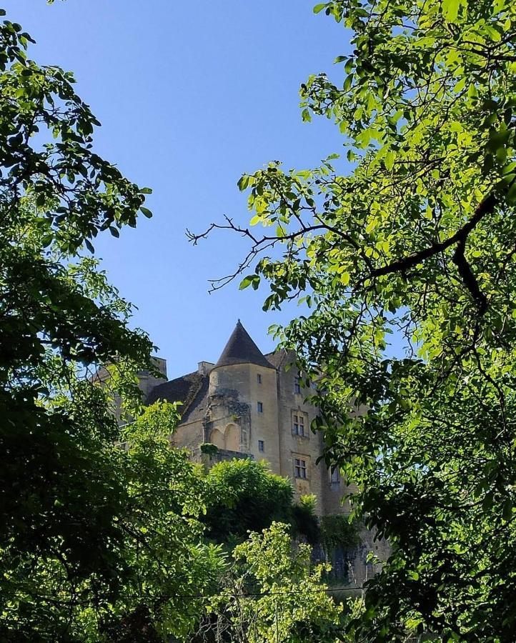Petite Maison En Pierre Au Coeur Du Perigord Noir Proche De Sarlat Et Rocamadour Salignac Eyvigues 외부 사진