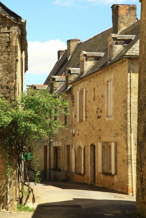 Petite Maison En Pierre Au Coeur Du Perigord Noir Proche De Sarlat Et Rocamadour Salignac Eyvigues 외부 사진