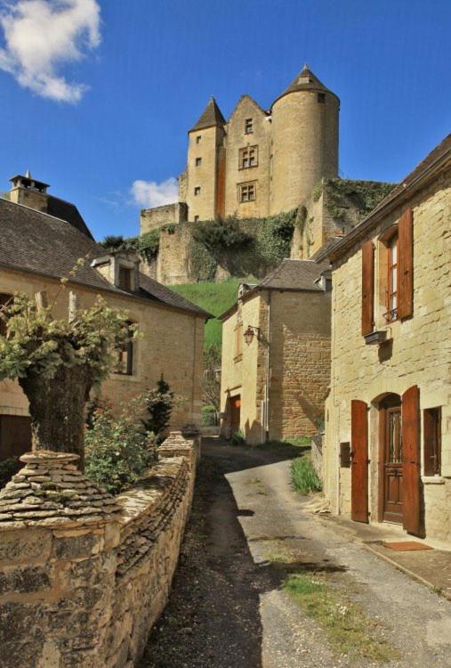 Petite Maison En Pierre Au Coeur Du Perigord Noir Proche De Sarlat Et Rocamadour Salignac Eyvigues 외부 사진
