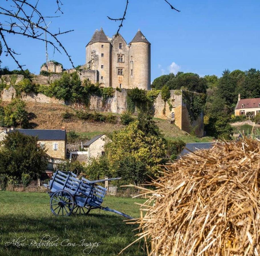 Petite Maison En Pierre Au Coeur Du Perigord Noir Proche De Sarlat Et Rocamadour Salignac Eyvigues 외부 사진