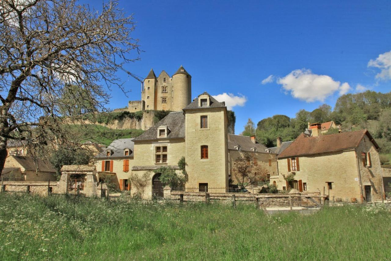 Petite Maison En Pierre Au Coeur Du Perigord Noir Proche De Sarlat Et Rocamadour Salignac Eyvigues 외부 사진