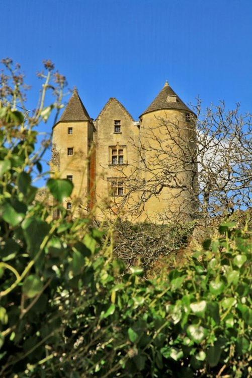 Petite Maison En Pierre Au Coeur Du Perigord Noir Proche De Sarlat Et Rocamadour Salignac Eyvigues 외부 사진